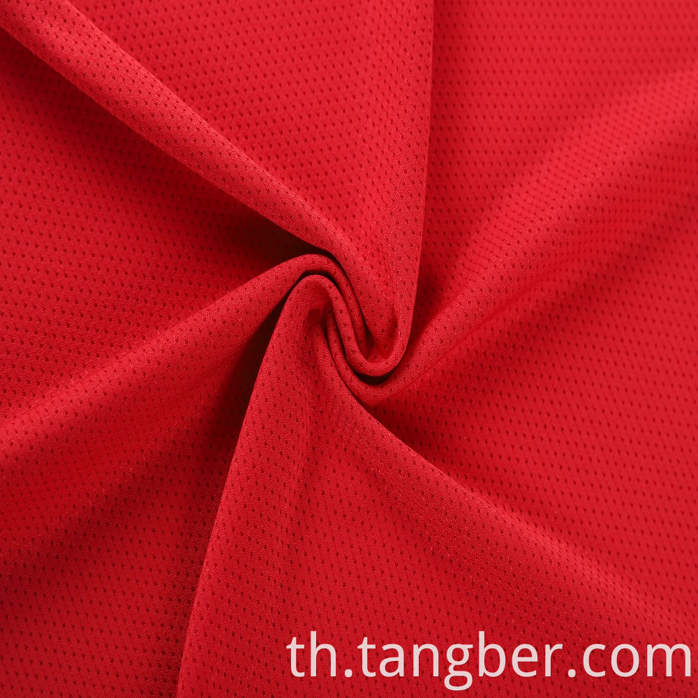 Polyester Mesh Fabric